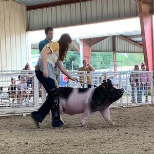 Meet your Posher, Malorie